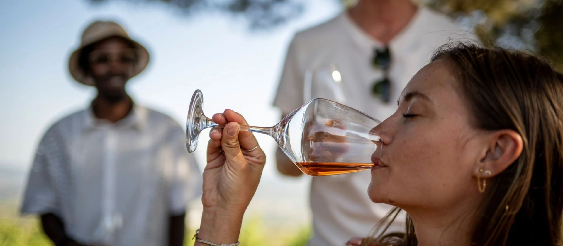 wine-tours-and-viticultural-activities-provence-french-riviera