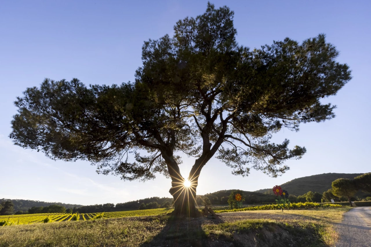 nos-guides-touristiques-autour-du-vin