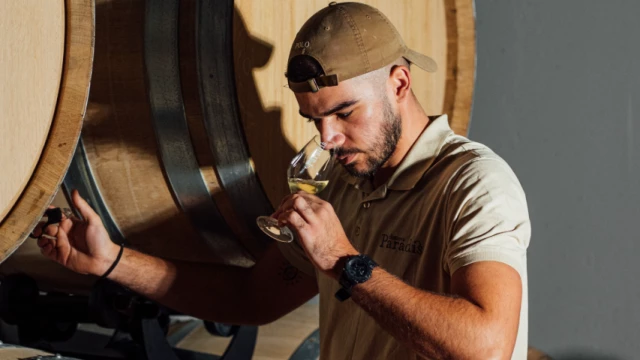 wine-tours-and-viticultural-activities-provence-french-riviera