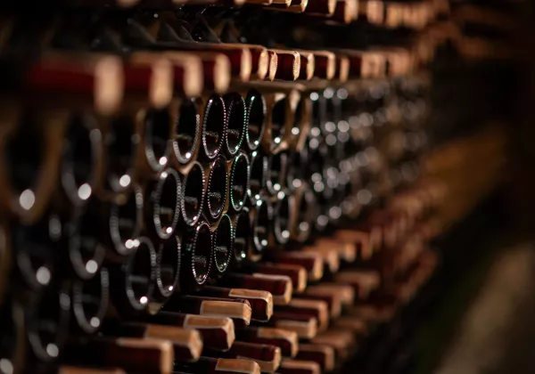 shutterstock-2456555119