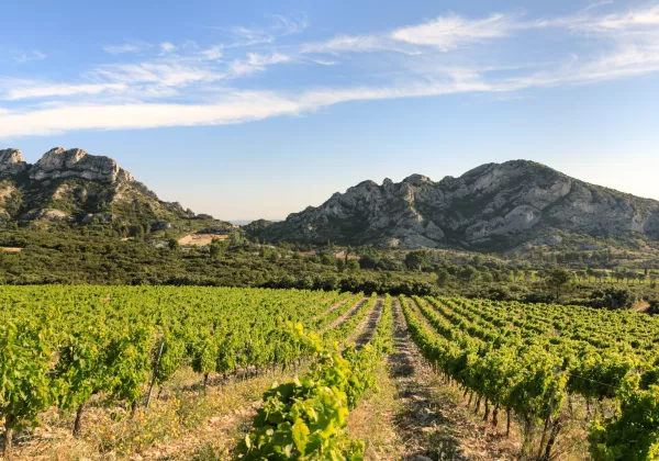 awt-domaine-la-vallongue-1