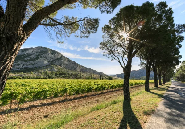 awt-domaine-la-vallongue-2