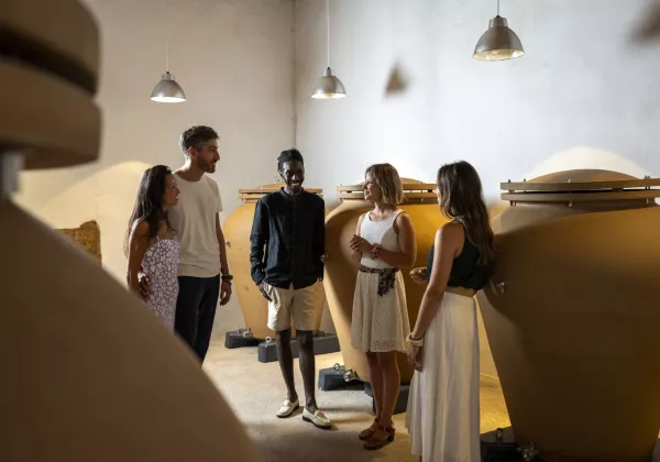 awt-begude-visite-marc-2