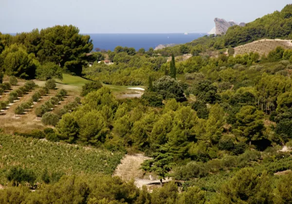 vignoble-de-bandol-1