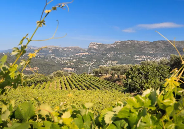 domaine-de-la-source-8