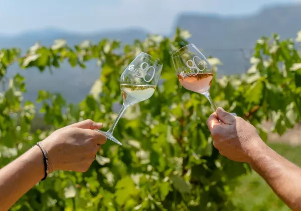 domaine-de-la-source-4