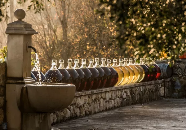 domaine-des-hautes-collines-1