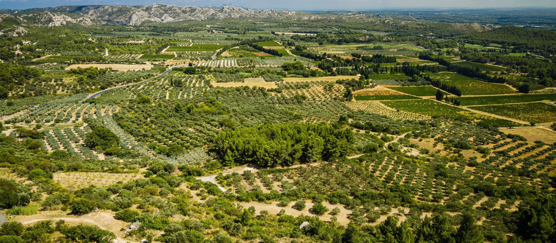 <br />
<b>Warning</b>: Undefined variable $page in <b>/home/azurwinetourscom/public_html/modules/tour/front/fiche-tour.php</b> on line <b>209</b><br />
<br />
<b>Warning</b>: Trying to access array offset on value of type null in <b>/home/azurwinetourscom/public_html/modules/tour/front/fiche-tour.php</b> on line <b>209</b><br />