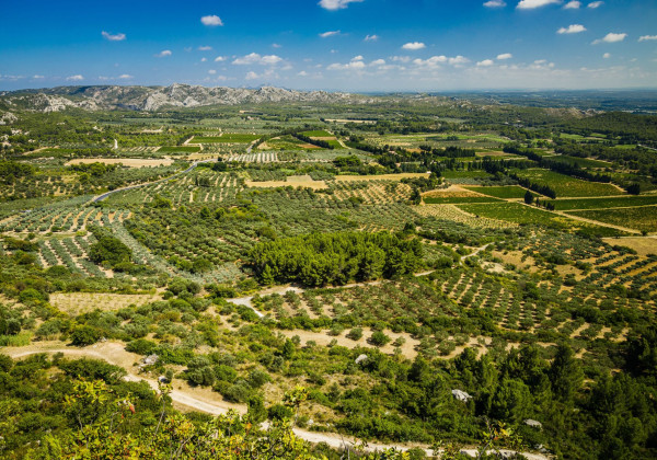 Vignobles des Alpilles - Tour Privé 