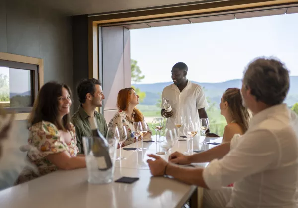 vineyards-cotes-de-provence-shared-wine-tour-nice-05