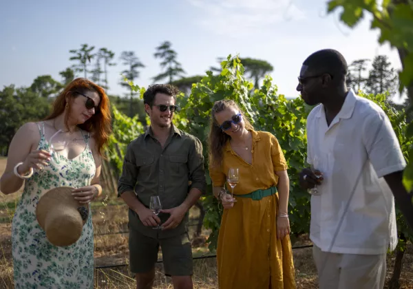 vineyards-cotes-de-provence-shared-wine-tour-nice-07