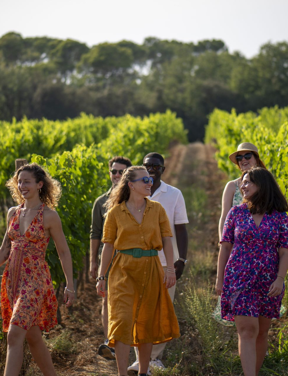 vineyards-cotes-de-provence-shared-wine-tour-nice