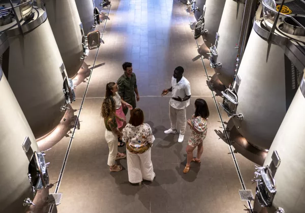 vineyards-cotes-de-provence-shared-wine-tour-nice-08