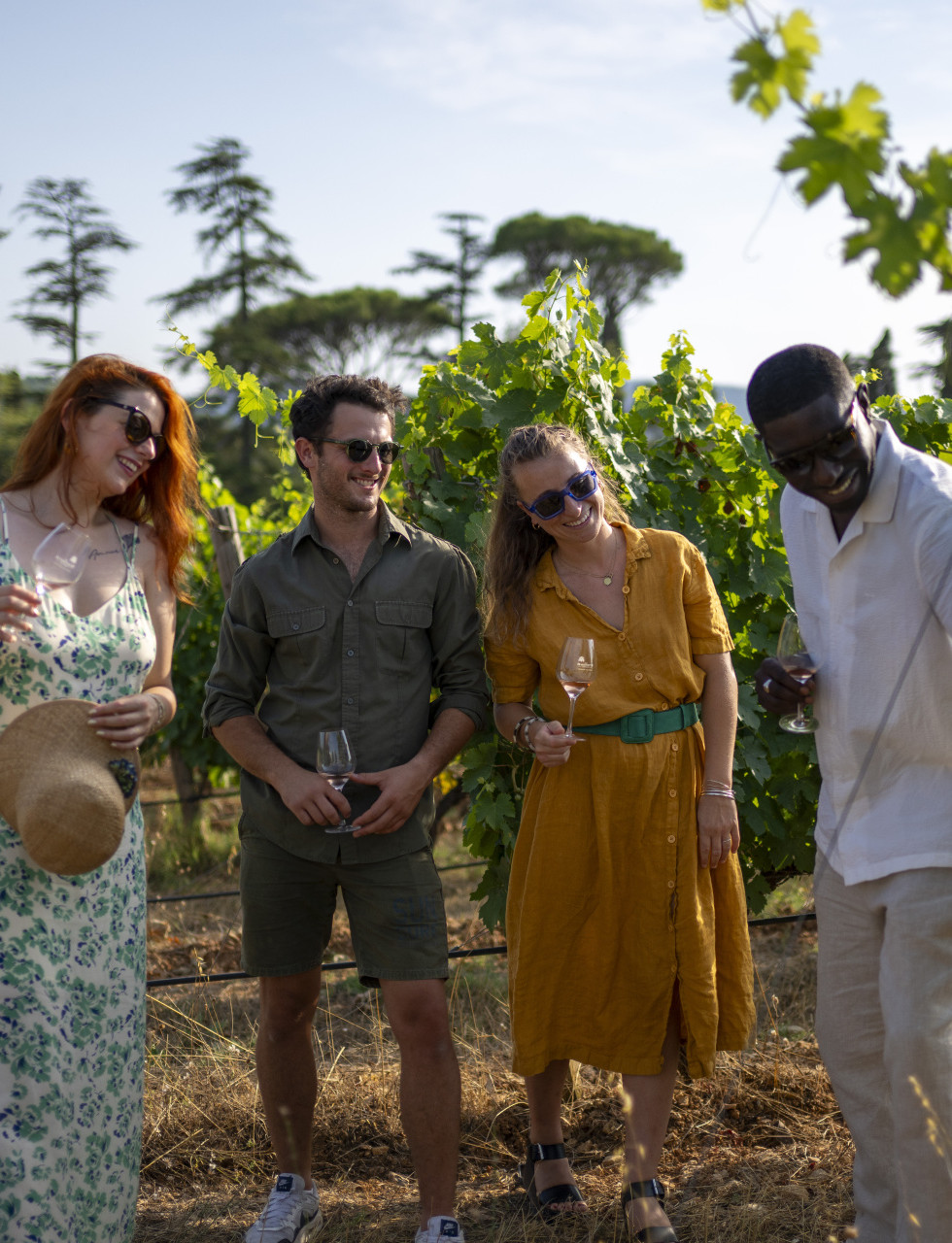 vineyards-cotes-de-provence-shared-wine-tour-cannes