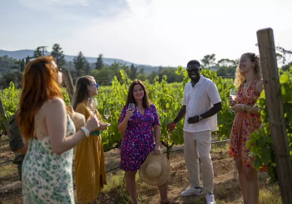  vineyards-cotes-de-provence-shared-wine-tour-cannes-05