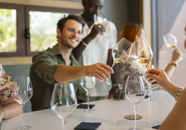  vineyards-cotes-de-provence-shared-wine-tour-cannes-07