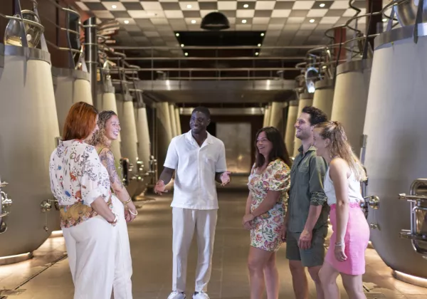  vineyards-cotes-de-provence-shared-wine-tour-cannes-08