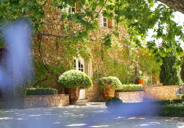 vineyards-cote-de-provence-private-wine-tour-02