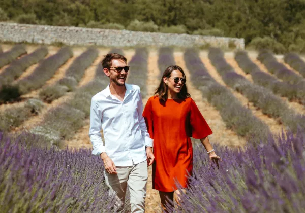 vineyards-cote-de-provence-private-wine-tour-06