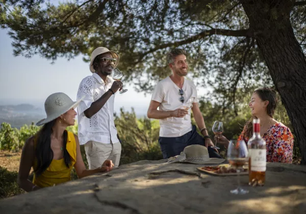 vineyards-bandol-private-wine-tour-04