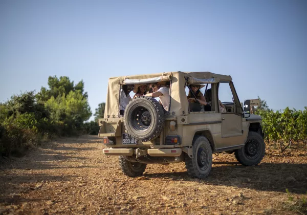 vineyards-bandol-private-wine-tour-05
