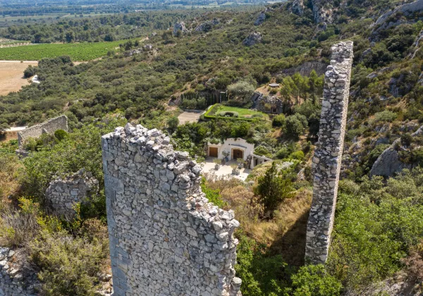 vineyards-alpilles-private-wine-tour-04
