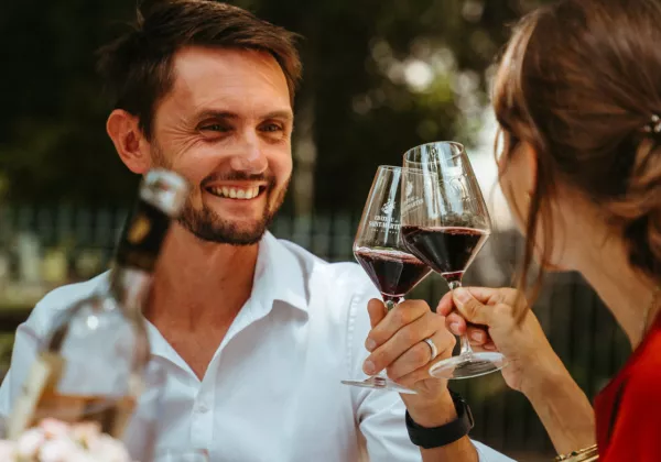 vineyards-alpilles-private-wine-tour-01