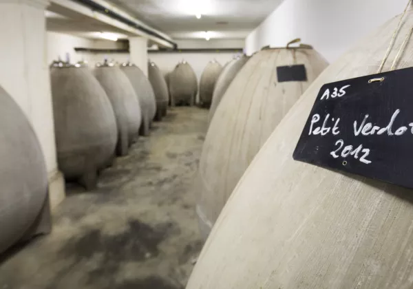 vineyards-alpilles-private-wine-tour-07