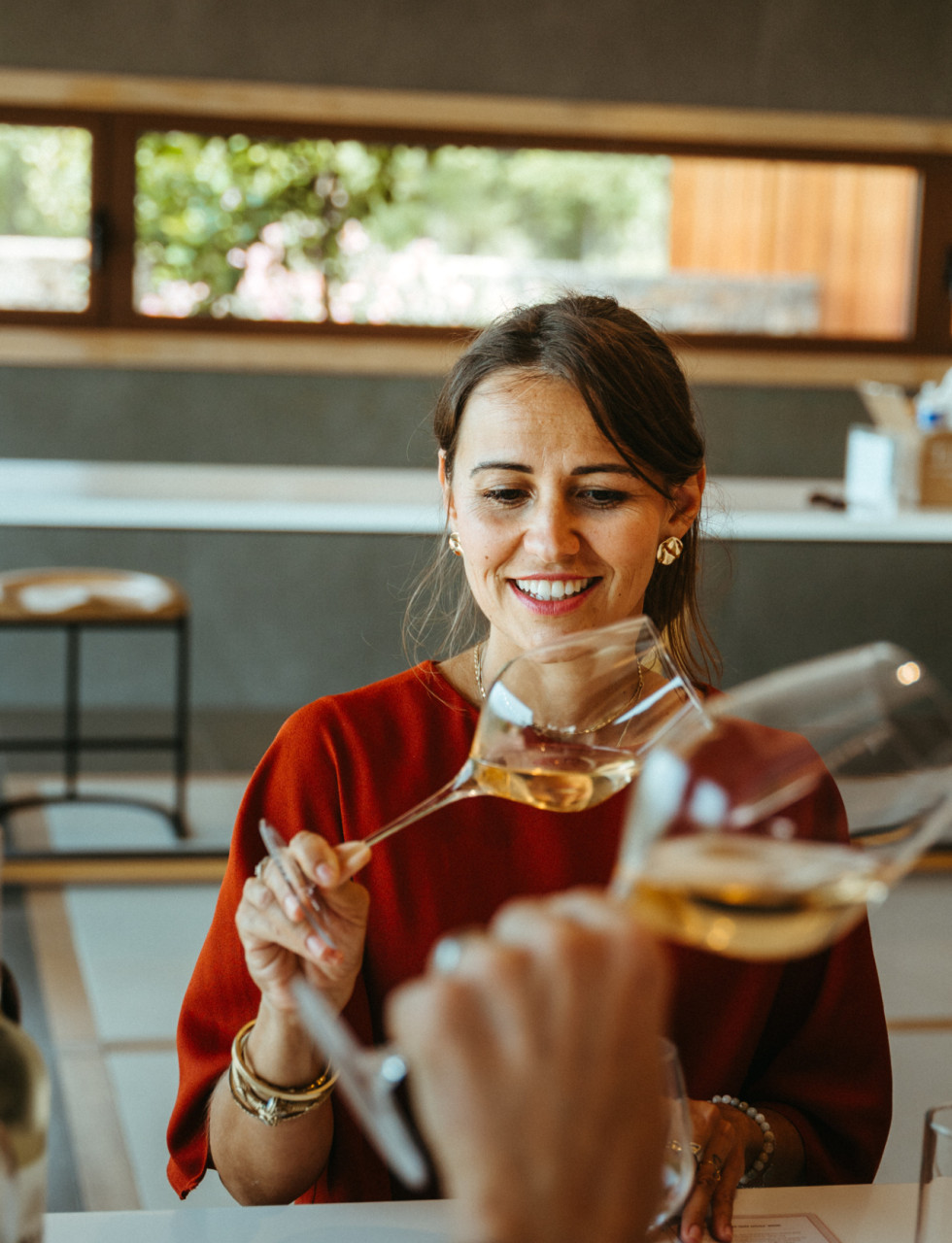 vineyards-alpilles-private-wine-tour