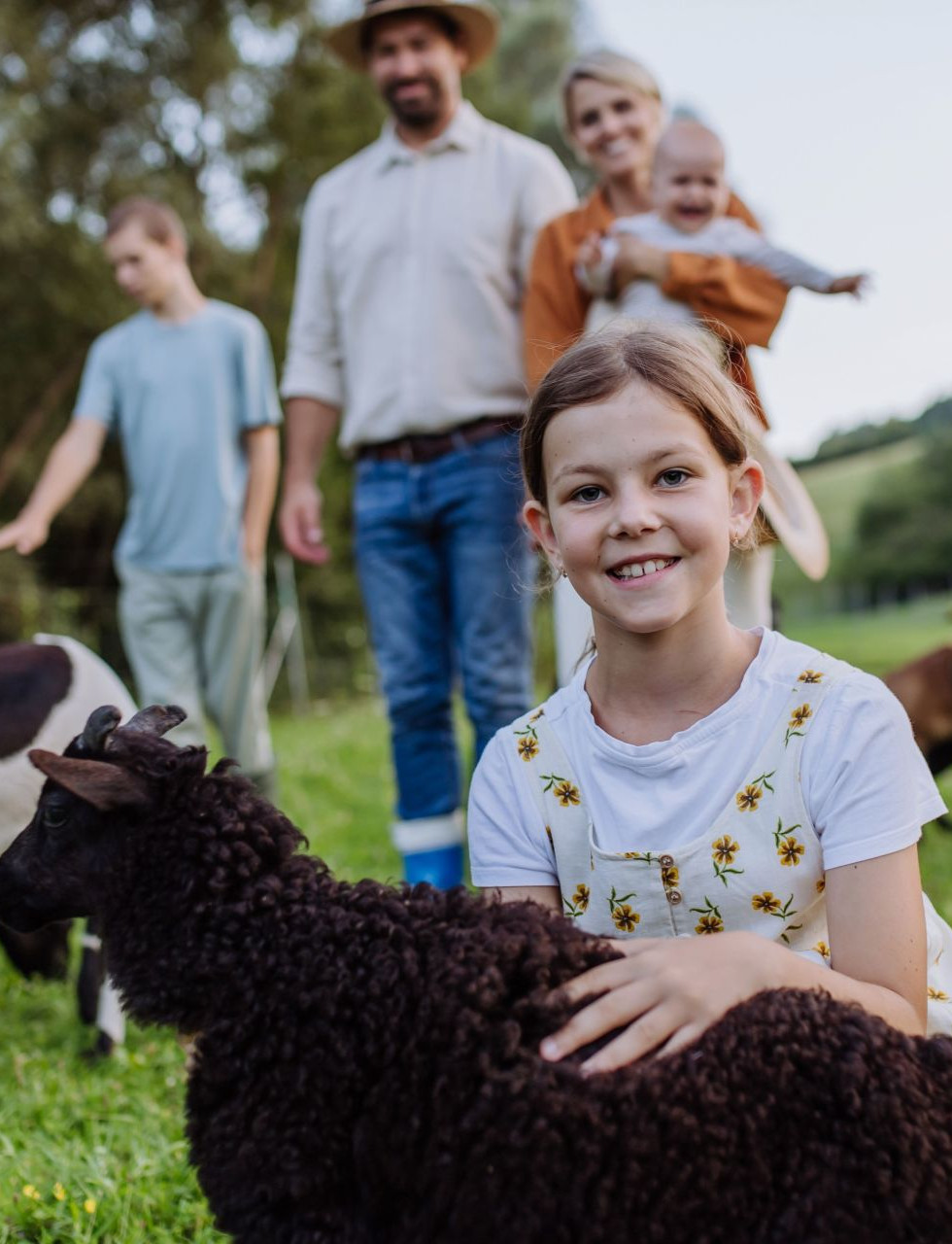vineyards-aix-en-provence-private-family-wine-tour