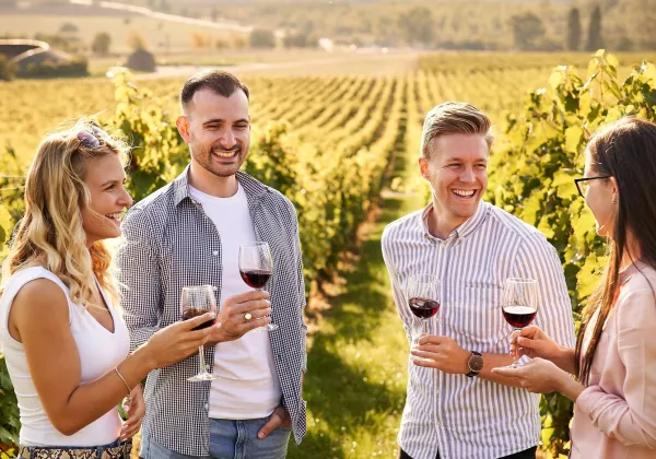 vineyards-luberon-private-bike-wine-tour-08