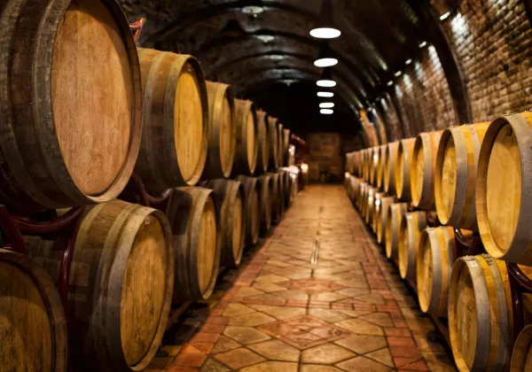 vineyards-aix-en-provence-private-wine-tour-06