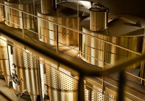 vineyards-aix-en-provence-private-wine-tour-07