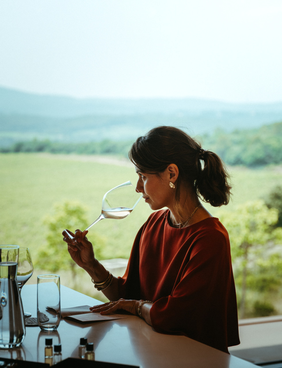 vineyards-aix-en-provence-private-wine-tour