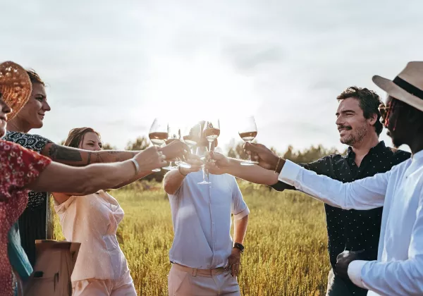 vineyards-luberon-private-wine-tour-05