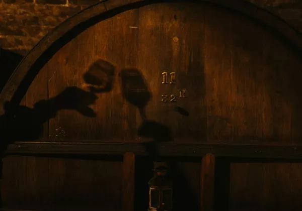 vineyards-luberon-private-wine-tour-06