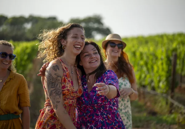 vineyards-luberon-private-wine-tour-07