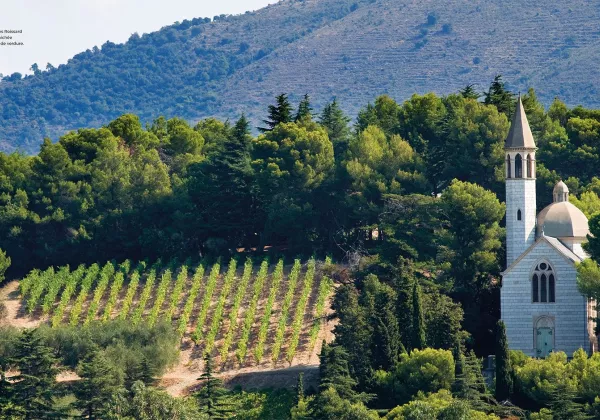 vineyards-french-riviera-private-wine-tour-01