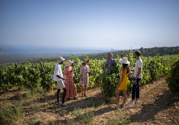 vineyards-french-riviera-private-wine-tour-04