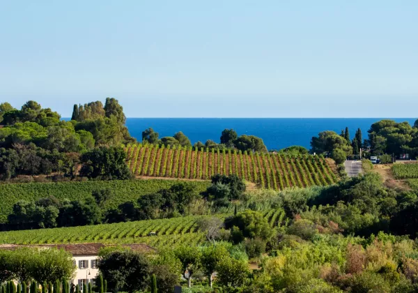 vineyards-saint-tropez-private-wine-tour-03