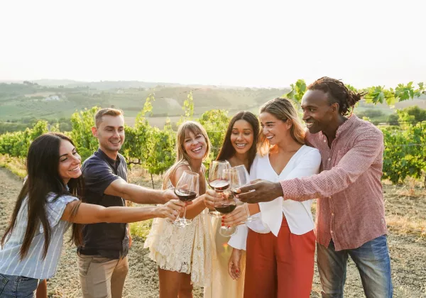 vineyards-provence-private-bike-wine-tour-07