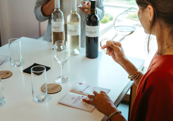 home-private-tasting-white-rose-red-wines-provence-07