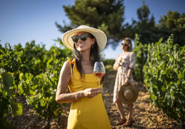 vineyards-saint-tropez-private-wine-tour-06