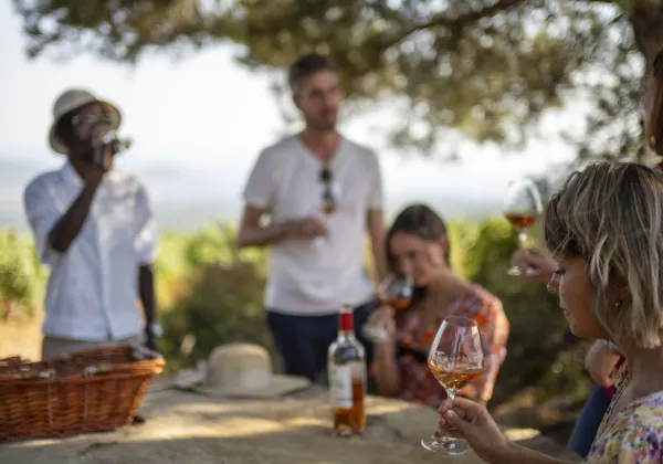 vineyards-saint-tropez-private-wine-tour-07