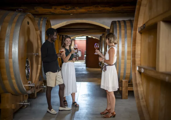 vineyards-saint-tropez-private-wine-tour-08