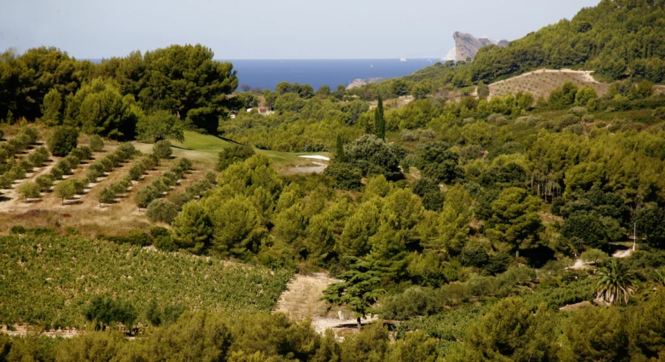vignoble-de-bandol-1