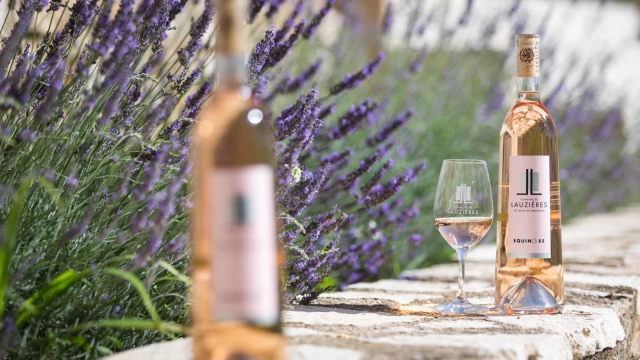 awt-domaine-de-lauzieres-4