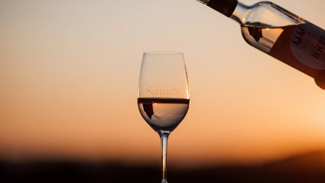 chateau-de-sannes-vincent-agnes-2