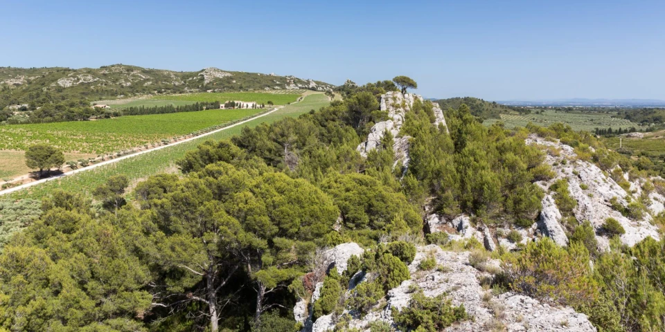 awt-domaine-de-lauzieres-1