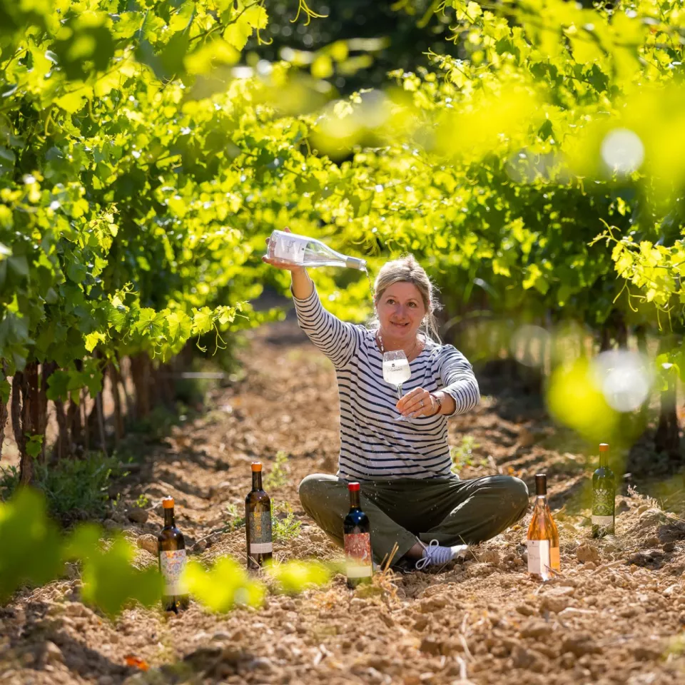 When Provence Reveals the Hidden Soul of Its Wines